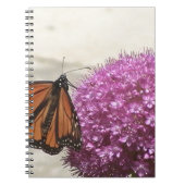 Carnet Papillon et oignon géant (Devant)