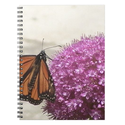 Carnet Papillon et oignon géant (Devant)