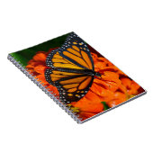 Carnet Papillon monarque (Côté Droit)