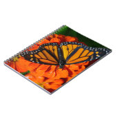 Carnet Papillon monarque (Côté gauche)