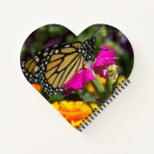 Carnet Papillon Monarque sur Fleur de Souci Rose  (Dos)