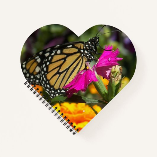 Carnet Papillon Monarque sur Fleur Marigold Rose (Devant)