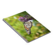 Carnet Papillon Monarque sur papillon pourpre Bush (Côté Droit)