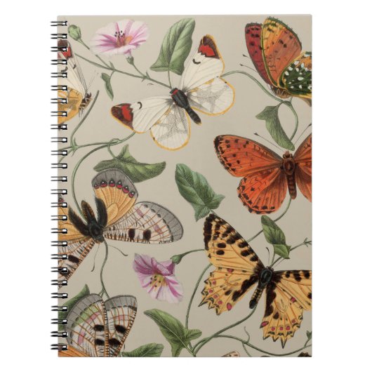 Carnet Papillon Moth Nature Dessin aquarelle antique (Devant)