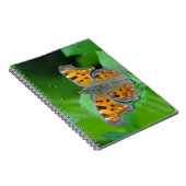 Carnet Papillon orange (Côté Droit)