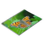 Carnet Papillon orange (Côté gauche)