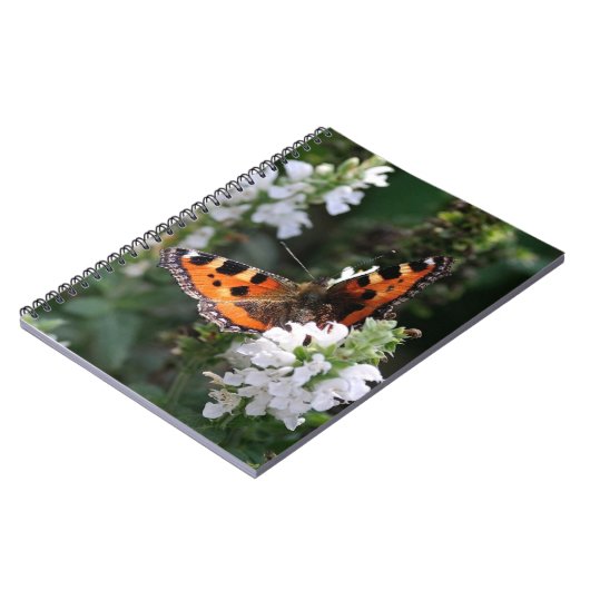 Carnet Papillon orange et fleurs blanches (Côté gauche)