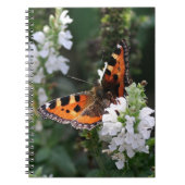 Carnet Papillon orange et fleurs blanches (Devant)