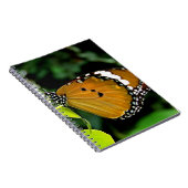 Carnet Papillon orange, noir et blanc sur feuille (Côté Droit)