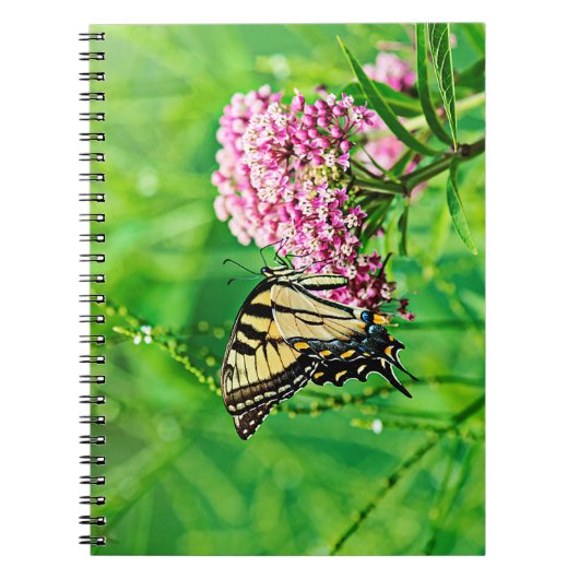 Carnet Papillon oriental de machaon de tigre (Devant)
