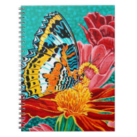 Papillon pointu I