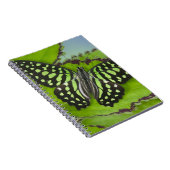 Carnet Papillon sur fond vert (Côté Droit)