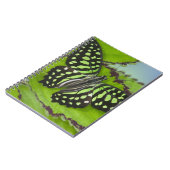 Carnet Papillon sur fond vert (Côté gauche)