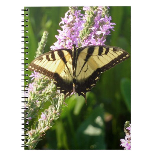 Carnet Papillon Swallowtail sur Fleurs sauvages pourpres (Devant)