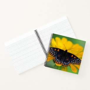 Carnet Papillon tacheté de Baltimore