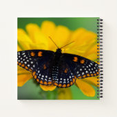 Carnet Papillon tacheté de Baltimore (Dos)