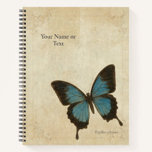 Carnet Papillon Ulysse Bleu Électrique