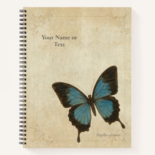 Carnet Papillon Ulysse Bleu Électrique (Devant)