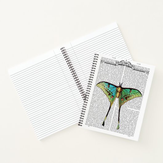 Carnet Papillon vibrant (Intérieur)