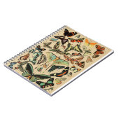 Carnet papillon vintage/papillons (Côté gauche)