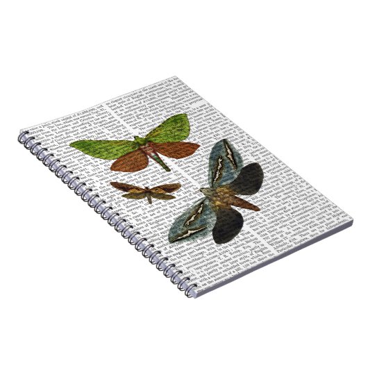 Carnet Papillons 4 (Côté Droit)