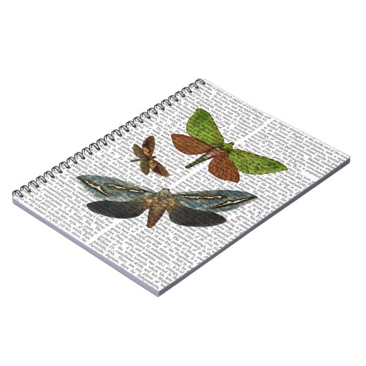 Carnet Papillons 4 (Côté gauche)