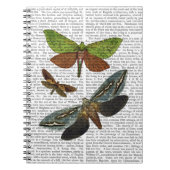 Carnet Papillons 4 (Devant)