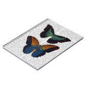 Carnet Papillons 5 (Côté gauche)