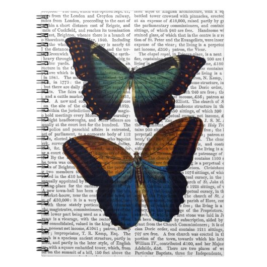 Carnet Papillons 5 (Devant)