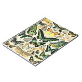 Carnet Papillons Adolphe Millot B (Côté gauche)