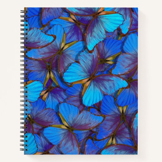 Carnet Papillons bleus (Devant)