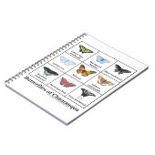 Carnet Papillons de Chautauqua (Côté gauche)