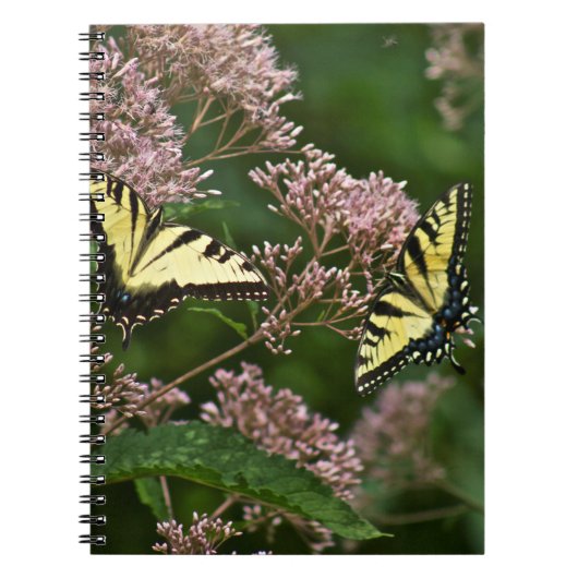 Carnet Papillons de machaon de tigre sur l'mauvaise herbe (Devant)