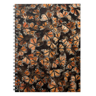 Carnet Papillons de monarque