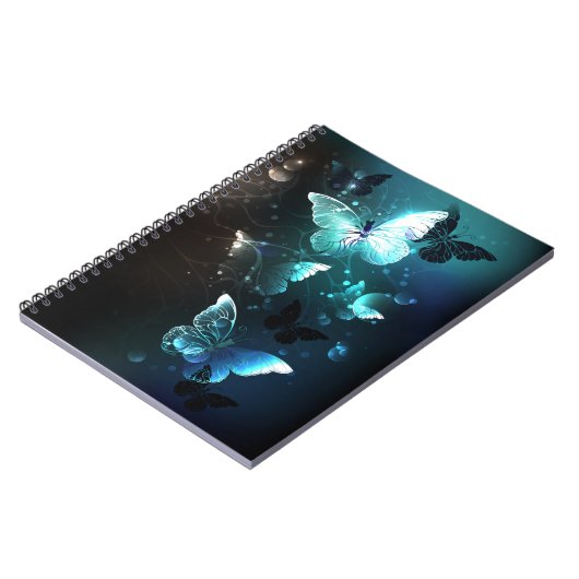 Carnet Papillons de nuit (Côté gauche)