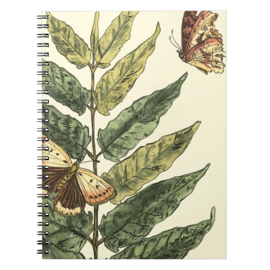 Carnet Papillons et Feuilles avec cadre noir (Devant)