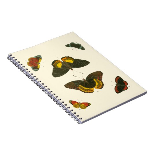 Carnet Papillons lumineux par Pieter Cramer (Côté Droit)