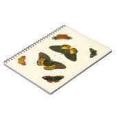 Carnet Papillons lumineux par Pieter Cramer (Côté gauche)