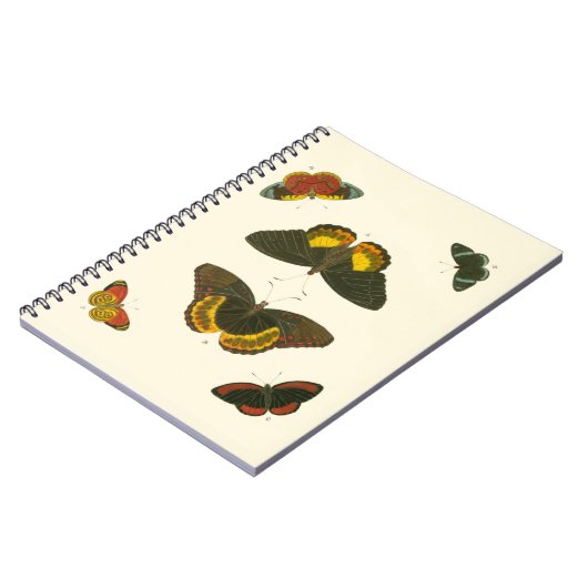 Carnet Papillons lumineux par Pieter Cramer (Côté gauche)