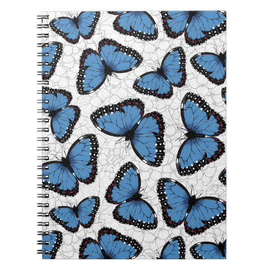 Carnet Papillons morpho bleu (Devant)