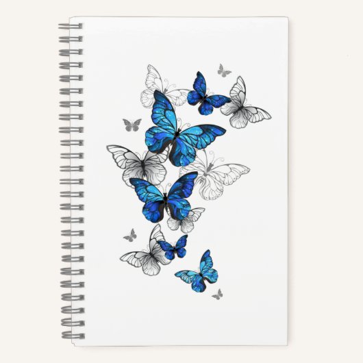 Carnet Papillons volants bleus Morpho (Recto)