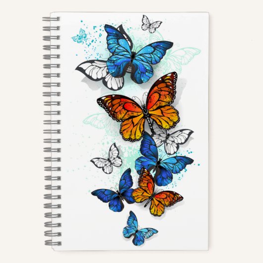 Carnet Papillons volants Morpho et Monarch (Recto)
