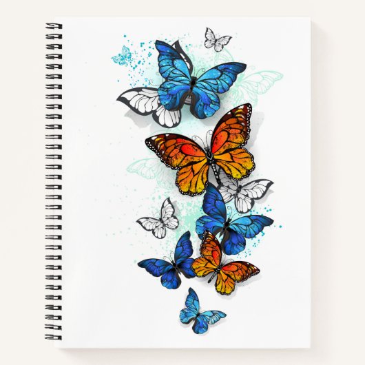 Carnet Papillons volants Morpho et Monarch (Devant)