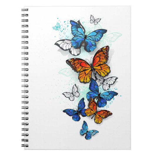 Carnet Papillons volants Morpho et Monarch (Devant)
