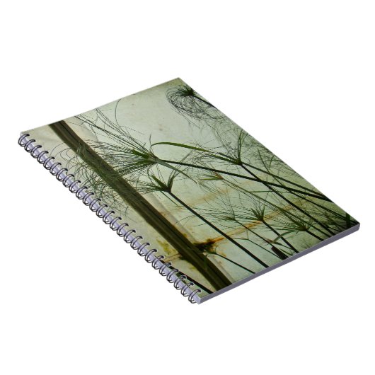 Carnet Papyrus (Côté Droit)