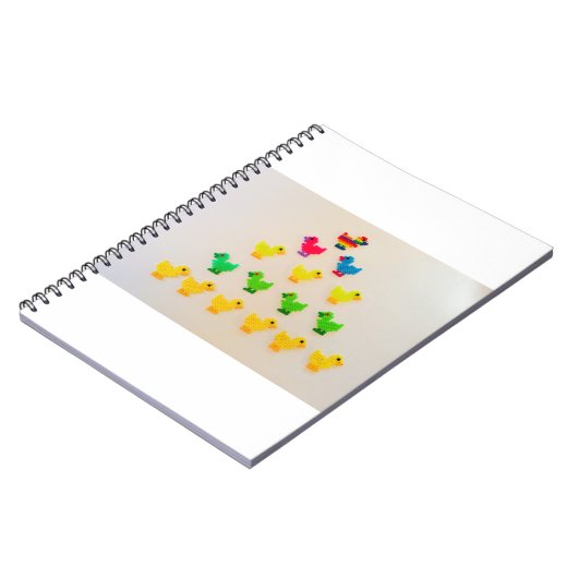 Carnet Parade de canard (Côté gauche)