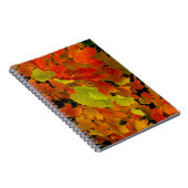 Carnet Parc d'État d'Itasca, couleurs d'automne (Côté Droit)