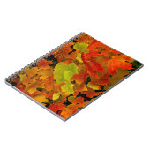 Carnet Parc d'État d'Itasca, couleurs d'automne (Côté gauche)