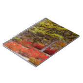 Carnet Parc national d'Acadia, Maine (Côté gauche)
