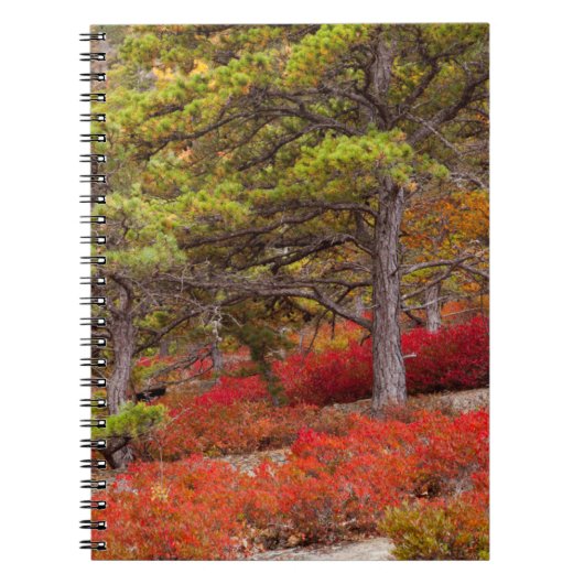 Carnet Parc national d'Acadia, Maine (Devant)